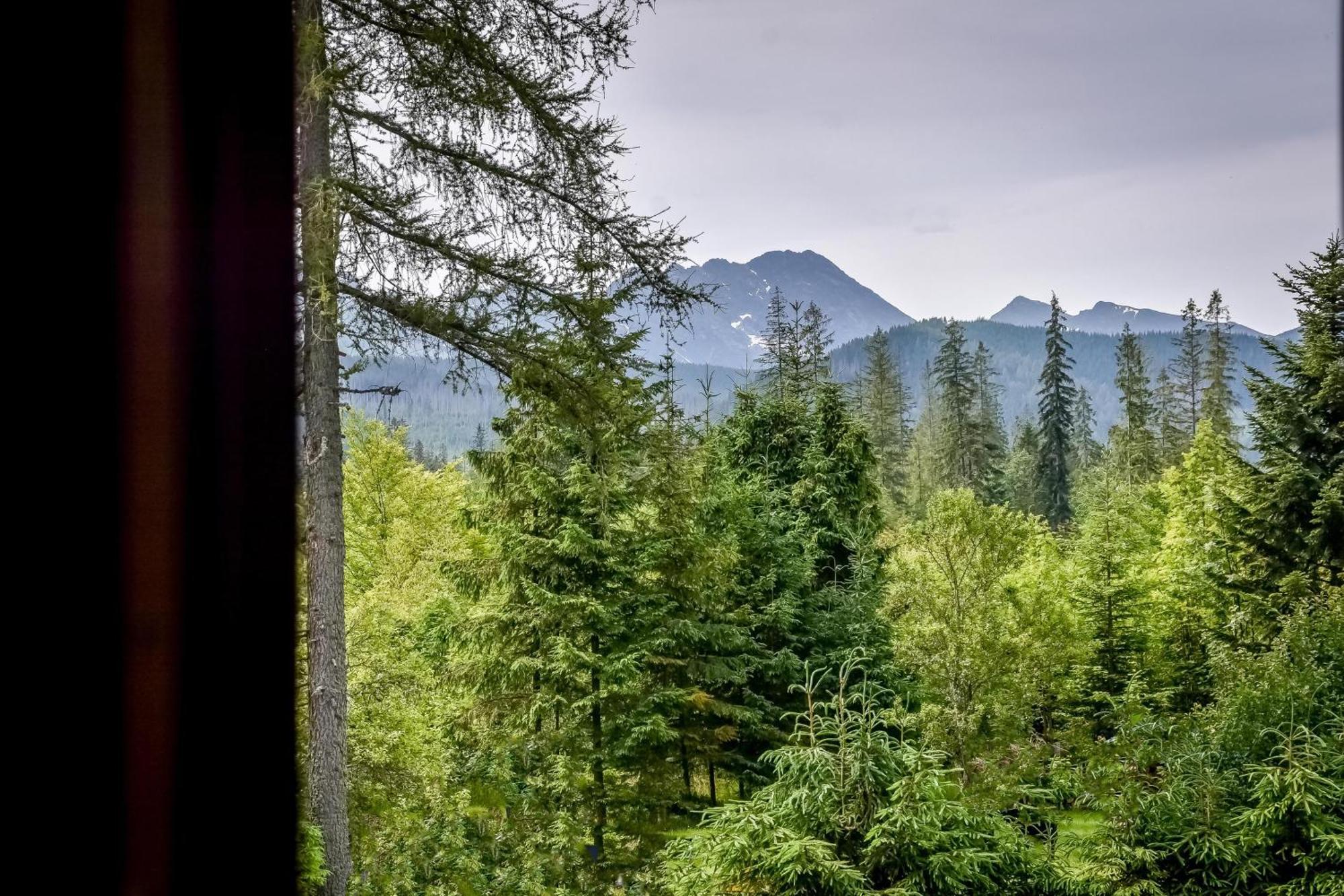 Za Gorami Za Lasami Zakopane Exterior foto